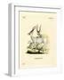 Addax Antelope-null-Framed Giclee Print