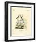 Addax Antelope-null-Framed Premium Giclee Print