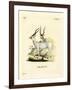 Addax Antelope-null-Framed Giclee Print