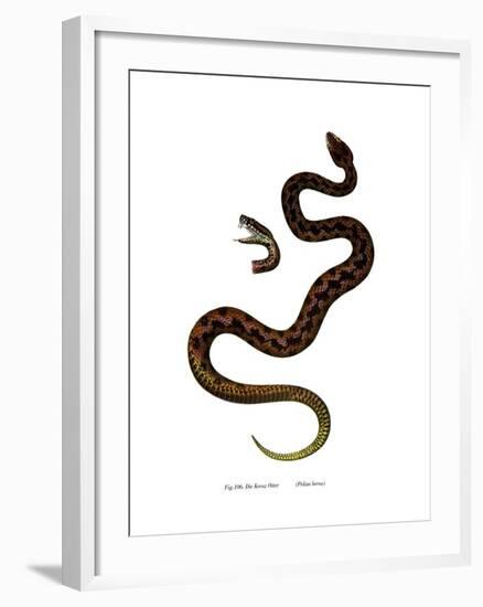 Adder-null-Framed Giclee Print