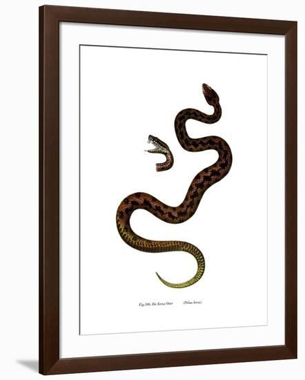 Adder-null-Framed Giclee Print