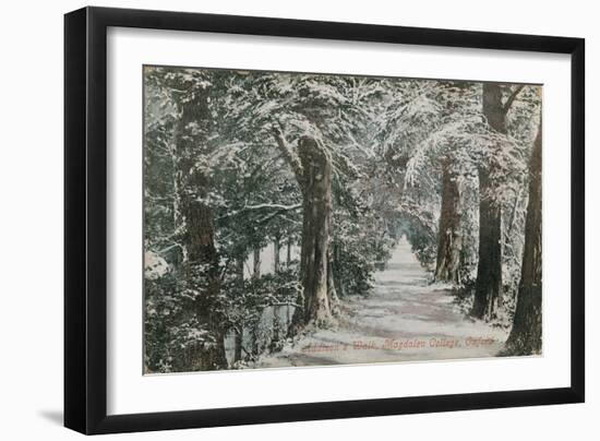 Addison's Walk, Magdalen College, Oxford. Postcard Sent in 1913-English Photographer-Framed Giclee Print