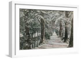 Addison's Walk, Magdalen College, Oxford. Postcard Sent in 1913-English Photographer-Framed Giclee Print