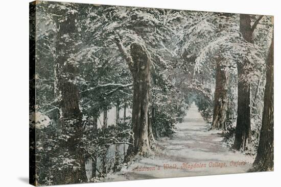 Addison's Walk, Magdalen College, Oxford. Postcard Sent in 1913-English Photographer-Stretched Canvas