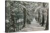 Addison's Walk, Magdalen College, Oxford. Postcard Sent in 1913-English Photographer-Stretched Canvas