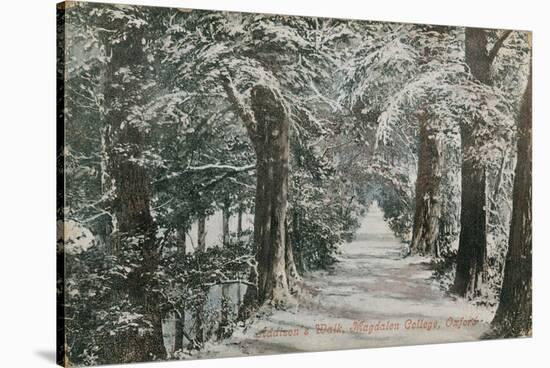 Addison's Walk, Magdalen College, Oxford. Postcard Sent in 1913-English Photographer-Stretched Canvas