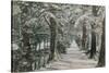 Addison's Walk, Magdalen College, Oxford. Postcard Sent in 1913-English Photographer-Stretched Canvas