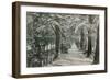 Addison's Walk, Magdalen College, Oxford. Postcard Sent in 1913-English Photographer-Framed Premium Giclee Print