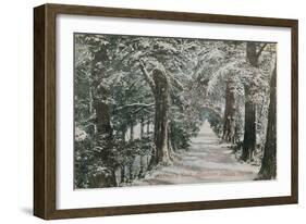 Addison's Walk, Magdalen College, Oxford. Postcard Sent in 1913-English Photographer-Framed Premium Giclee Print