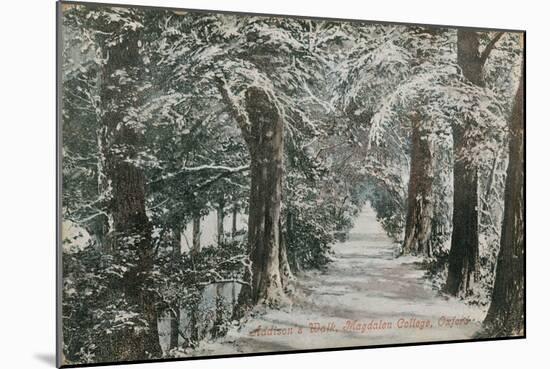 Addison's Walk, Magdalen College, Oxford. Postcard Sent in 1913-English Photographer-Mounted Premium Giclee Print
