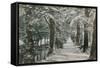 Addison's Walk, Magdalen College, Oxford. Postcard Sent in 1913-English Photographer-Framed Stretched Canvas