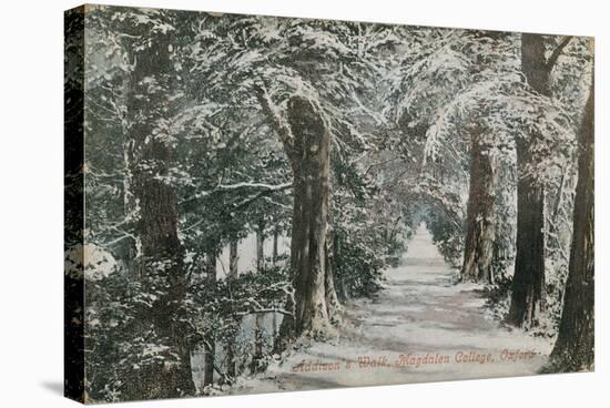 Addison's Walk, Magdalen College, Oxford. Postcard Sent in 1913-English Photographer-Stretched Canvas