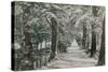 Addison's Walk, Magdalen College, Oxford. Postcard Sent in 1913-English Photographer-Stretched Canvas