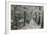 Addison's Walk, Magdalen College, Oxford. Postcard Sent in 1913-English Photographer-Framed Giclee Print