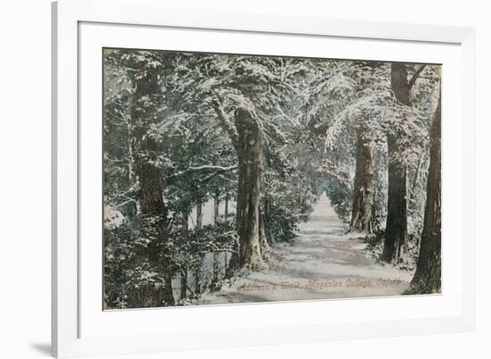 Addison's Walk, Magdalen College, Oxford. Postcard Sent in 1913-English Photographer-Framed Giclee Print