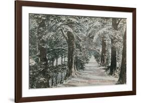 Addison's Walk, Magdalen College, Oxford. Postcard Sent in 1913-English Photographer-Framed Giclee Print