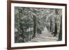 Addison's Walk, Magdalen College, Oxford. Postcard Sent in 1913-English Photographer-Framed Giclee Print