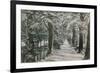 Addison's Walk, Magdalen College, Oxford. Postcard Sent in 1913-English Photographer-Framed Giclee Print