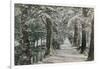 Addison's Walk, Magdalen College, Oxford. Postcard Sent in 1913-English Photographer-Framed Giclee Print