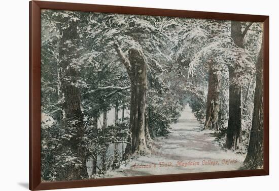 Addison's Walk, Magdalen College, Oxford. Postcard Sent in 1913-English Photographer-Framed Giclee Print