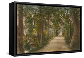 Addison's Walk, Oxford. Postcard Sent in 1913-English Photographer-Framed Stretched Canvas