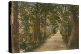 Addison's Walk, Oxford. Postcard Sent in 1913-English Photographer-Stretched Canvas