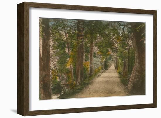 Addison's Walk, Oxford. Postcard Sent in 1913-English Photographer-Framed Giclee Print