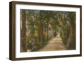 Addison's Walk, Oxford. Postcard Sent in 1913-English Photographer-Framed Giclee Print