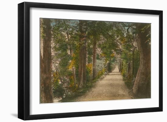 Addison's Walk, Oxford. Postcard Sent in 1913-English Photographer-Framed Giclee Print