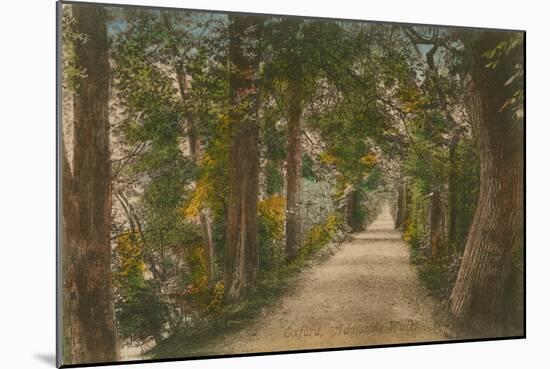 Addison's Walk, Oxford. Postcard Sent in 1913-English Photographer-Mounted Giclee Print