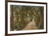 Addison's Walk, Oxford. Postcard Sent in 1913-English Photographer-Framed Giclee Print