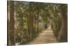 Addison's Walk, Oxford. Postcard Sent in 1913-English Photographer-Stretched Canvas