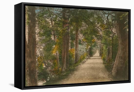 Addison's Walk, Oxford. Postcard Sent in 1913-English Photographer-Framed Stretched Canvas