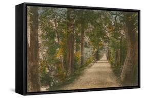 Addison's Walk, Oxford. Postcard Sent in 1913-English Photographer-Framed Stretched Canvas