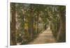 Addison's Walk, Oxford. Postcard Sent in 1913-English Photographer-Framed Giclee Print