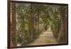 Addison's Walk, Oxford. Postcard Sent in 1913-English Photographer-Framed Giclee Print