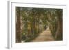 Addison's Walk, Oxford. Postcard Sent in 1913-English Photographer-Framed Giclee Print