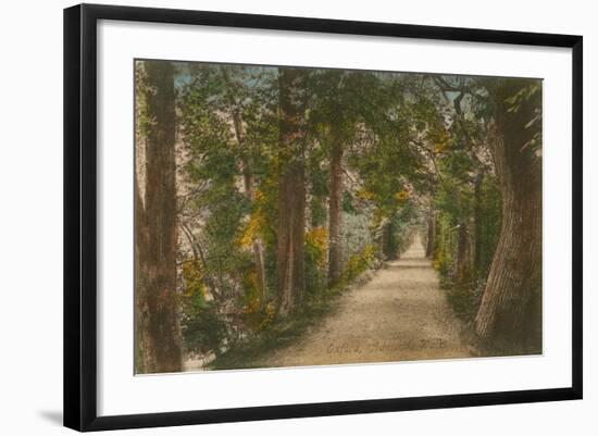 Addison's Walk, Oxford. Postcard Sent in 1913-English Photographer-Framed Giclee Print