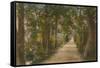 Addison's Walk, Oxford. Postcard Sent in 1913-English Photographer-Framed Stretched Canvas