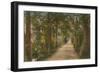 Addison's Walk, Oxford. Postcard Sent in 1913-English Photographer-Framed Premium Giclee Print