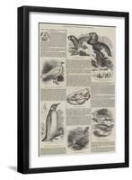 Additions to the British Museum-null-Framed Giclee Print