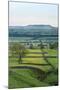 Addleborough from Above Askrigg at Dusk in Summer-Mark Sunderland-Mounted Photographic Print