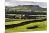 Addlebrough from Askrigg in Wensleydale, Yorkshire Dales, North Yorkshire, Yorkshire, England, UK-Mark Sunderland-Mounted Photographic Print