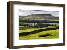 Addlebrough from Askrigg in Wensleydale, Yorkshire Dales, North Yorkshire, Yorkshire, England, UK-Mark Sunderland-Framed Photographic Print