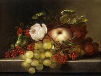 Still Life with Peach, Grapes and Rosehips, 1865-Adelheid Dietrich-Framed Giclee Print