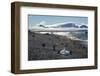 Adelie and gentoo penguins, Brown Bluff, Tabarin Peninsula, Antarctica, Polar Regions-Michael Runkel-Framed Photographic Print