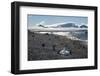 Adelie and gentoo penguins, Brown Bluff, Tabarin Peninsula, Antarctica, Polar Regions-Michael Runkel-Framed Photographic Print