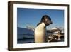 Adelie Penguin, Antarctica-Paul Souders-Framed Photographic Print