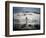 Adelie Penguin, Antarctica-Paul Souders-Framed Photographic Print