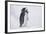 Adelie Penguin Chick on Ice Vocalizing-DLILLC-Framed Photographic Print